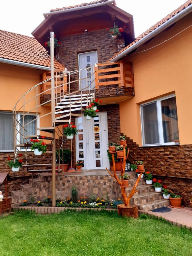 Casa De Oaspeti Cristian Parajd Szoba fotó